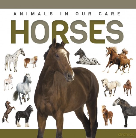 Horses - Alex Hall [KSIĄŻKA]