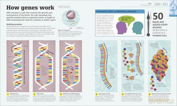 How Science Works: The Facts Visually Explained - DK [KSIĄŻKA]