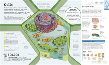 How Science Works: The Facts Visually Explained - DK [KSIĄŻKA]