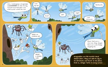 How to be a Dragonfly - DK [KSIĄŻKA]