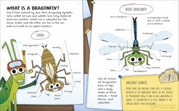 How to be a Dragonfly - DK [KSIĄŻKA]