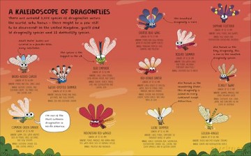 How to be a Dragonfly - DK [KSIĄŻKA]