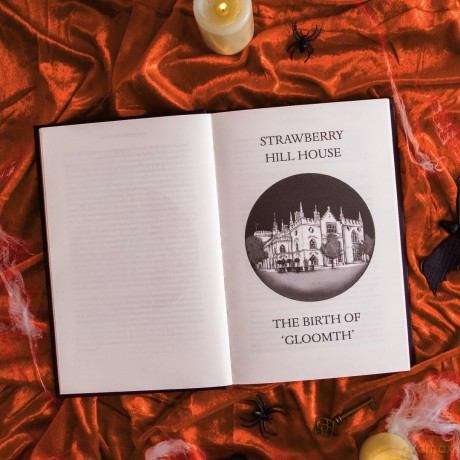 How to Build a Haunted House: The History of a Cultural Obsession - Caitlin Blackwell Baines [KSIĄŻKA]