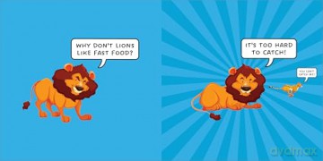 How to Make a Lion Laugh - Chris Cate [KSIĄŻKA]
