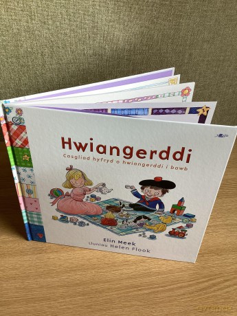 Hwiangerddi - Elin Meek [KSIĄŻKA]