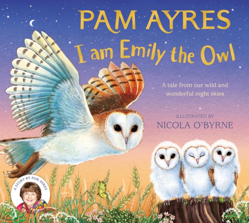 I am Emily the Owl: A tale from our wild and wonderful night skies: 3 - Pam Ayres [KSIĄŻKA]