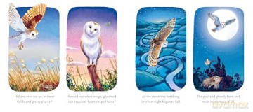 I am Emily the Owl: A tale from our wild and wonderful night skies: 3 - Pam Ayres [KSIĄŻKA]