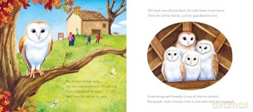 I am Emily the Owl: A tale from our wild and wonderful night skies: 3 - Pam Ayres [KSIĄŻKA]