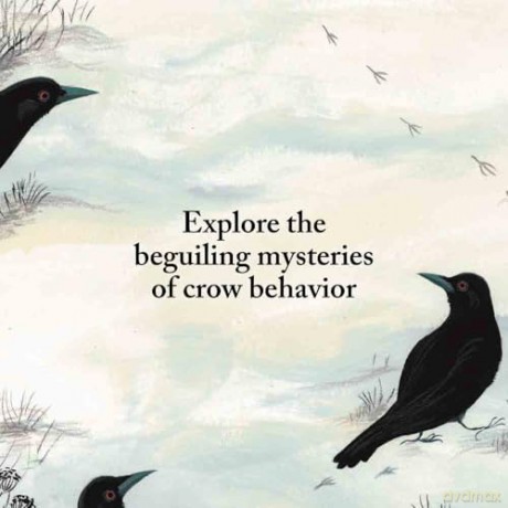 I Am We: How Crows Come Together to Survive - Leslie Barnard Booth [KSIĄŻKA]