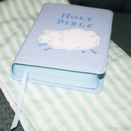 ICB, Really Woolly Holy Bible, Leathersoft, Blue: Children's Edition - Blue - DaySpring [KSIĄŻKA]