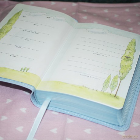 ICB, Really Woolly Holy Bible, Leathersoft, Blue: Children's Edition - Blue - DaySpring [KSIĄŻKA]