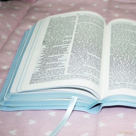ICB, Really Woolly Holy Bible, Leathersoft, Blue: Children's Edition - Blue - DaySpring [KSIĄŻKA]