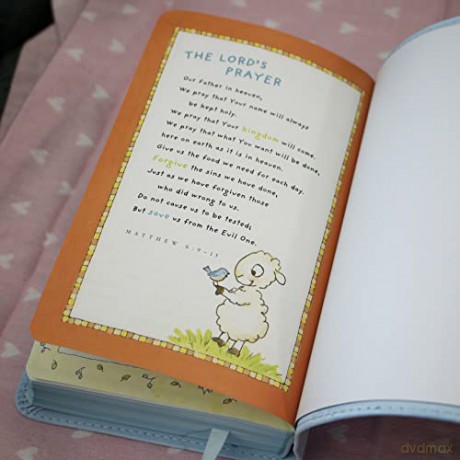 ICB, Really Woolly Holy Bible, Leathersoft, Blue: Children's Edition - Blue - DaySpring [KSIĄŻKA]