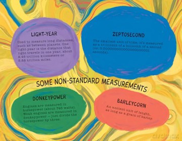 I'm Longer than You!: An Epic Contest of Measurement - Carolyn Fisher [KSIĄŻKA]