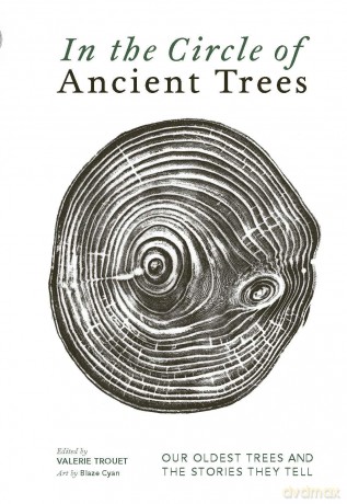 In The Circle of Ancient Trees: Our Oldest Trees and the Stories they Tell - Trouet Valerie [KSIĄŻKA]