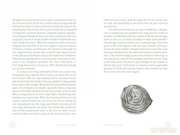 In The Circle of Ancient Trees: Our Oldest Trees and the Stories they Tell - Trouet Valerie [KSIĄŻKA]