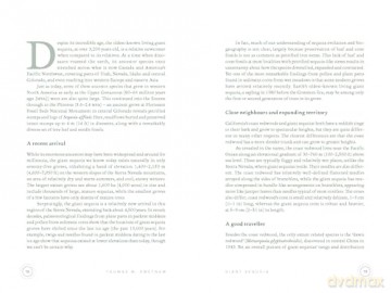 In The Circle of Ancient Trees: Our Oldest Trees and the Stories they Tell - Trouet Valerie [KSIĄŻKA]