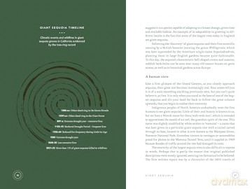 In The Circle of Ancient Trees: Our Oldest Trees and the Stories they Tell - Trouet Valerie [KSIĄŻKA]