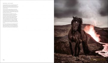 In the Land of Fire and Ice: Horses of Iceland - Guadalupe Laiz [KSIĄŻKA]