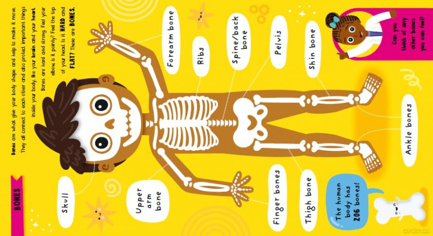 Incredible Things Your Body Can Do! Dr Emily MacDonagh s first picture book, all about your body and the brilliant things it can do! - Dr Emily MacDonagh [KSIĄŻKA]