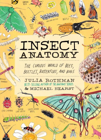 Insect Anatomy: The Curious World of Bees, Beetles, Butterflies, and Bugs - Julia Rothman [KSIĄŻKA]