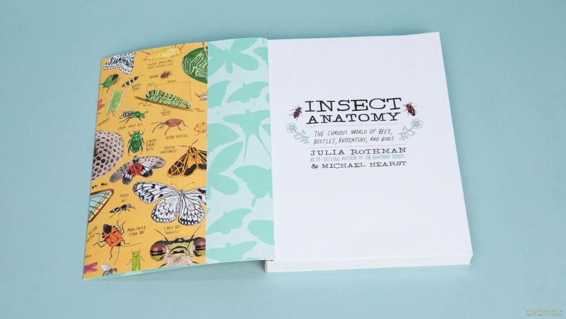 Insect Anatomy: The Curious World of Bees, Beetles, Butterflies, and Bugs - Julia Rothman [KSIĄŻKA]