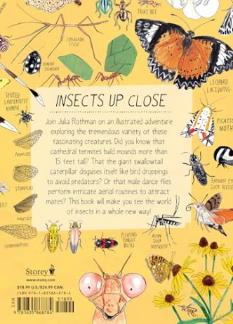 Insect Anatomy: The Curious World of Bees, Beetles, Butterflies, and Bugs - Julia Rothman [KSIĄŻKA]