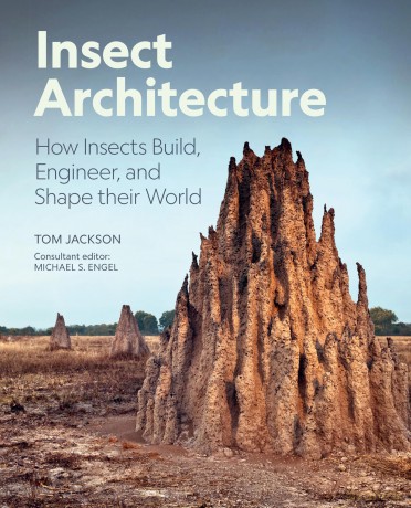Insect Architecture: How Insects Build, Engineer, and Shape Their World - Michael S. Engel [KSIĄŻKA]
