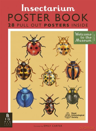 Insectarium Poster Book - Dave Goulson [KSIĄŻKA]