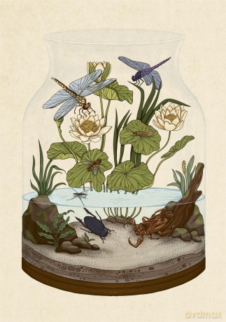 Insectarium Poster Book - Dave Goulson [KSIĄŻKA]