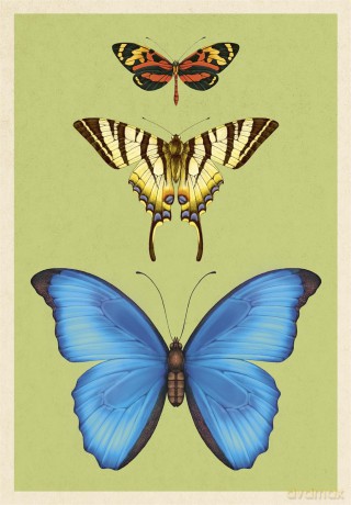 Insectarium Poster Book - Dave Goulson [KSIĄŻKA]