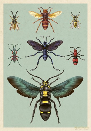 Insectarium Poster Book - Dave Goulson [KSIĄŻKA]