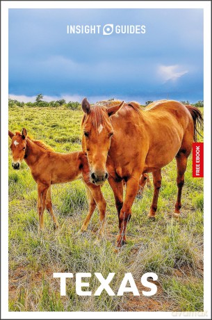 Insight Guides Texas: Travel Guide with eBook - Insight Guides [KSIĄŻKA]