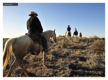Insight Guides Texas: Travel Guide with eBook - Insight Guides [KSIĄŻKA]