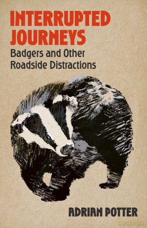 Interrupted Journeys: Badgers and Other Roadside Distractions - Adrian Potter [KSIĄŻKA]