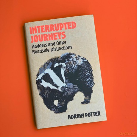 Interrupted Journeys: Badgers and Other Roadside Distractions - Adrian Potter [KSIĄŻKA]
