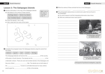 Investigation - Workbook 3 - Daphne Paizee [KSIĄŻKA]