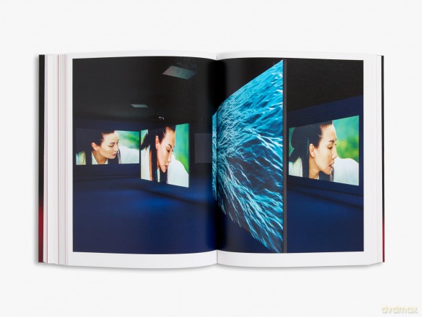 Isaac Julien: I Dream a World - Hilton Als [KSIĄŻKA]