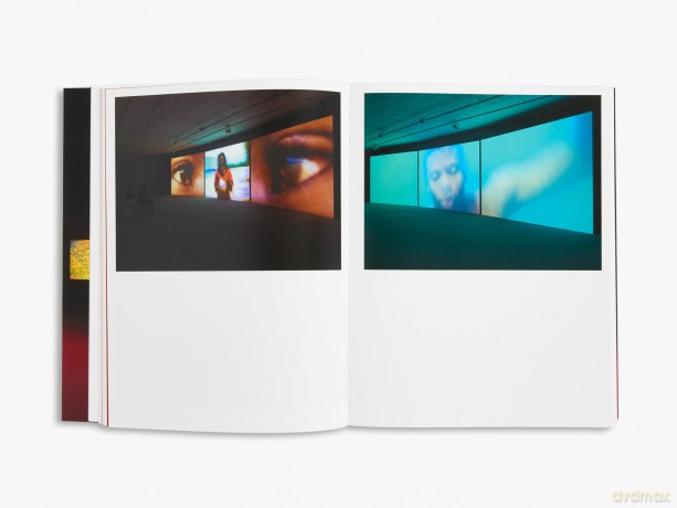 Isaac Julien: I Dream a World - Hilton Als [KSIĄŻKA]