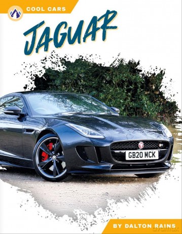 Jaguar - Dalton Rains [KSIĄŻKA]