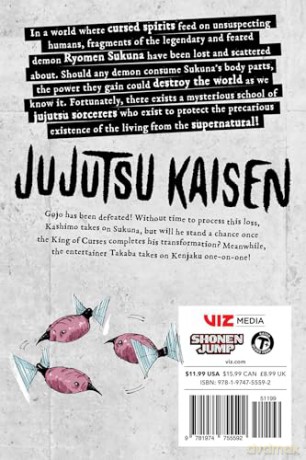 Jujutsu Kaisen, Vol. 27: Volume 27 - Gege Akutami [KSIĄŻKA]