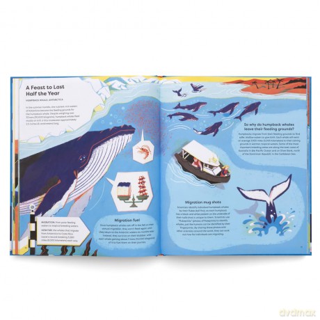 Keep on Moving: The Great Animal Migrations Large and Small - Little Gestalten [KSIĄŻKA]