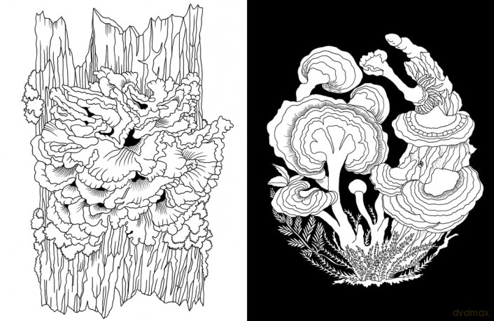 Kew Imaginarium: Magical Mushroom Paradise: Calming Creative Colouring - N/A N/A [KSIĄŻKA]