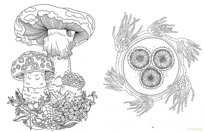 Kew Imaginarium: Magical Mushroom Paradise: Calming Creative Colouring - N/A N/A [KSIĄŻKA]
