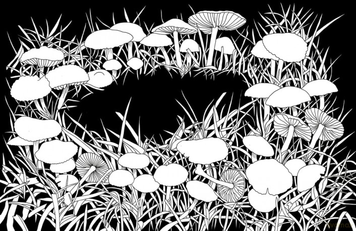 Kew Imaginarium: Magical Mushroom Paradise: Calming Creative Colouring - N/A N/A [KSIĄŻKA]