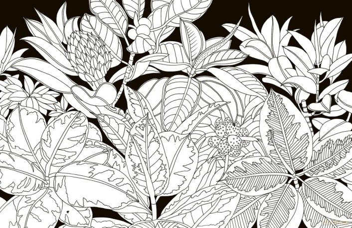Kew Imaginarium: Tropical Plant Paradise: Calming Creative Colouring - Orange Hippo! [KSIĄŻKA]