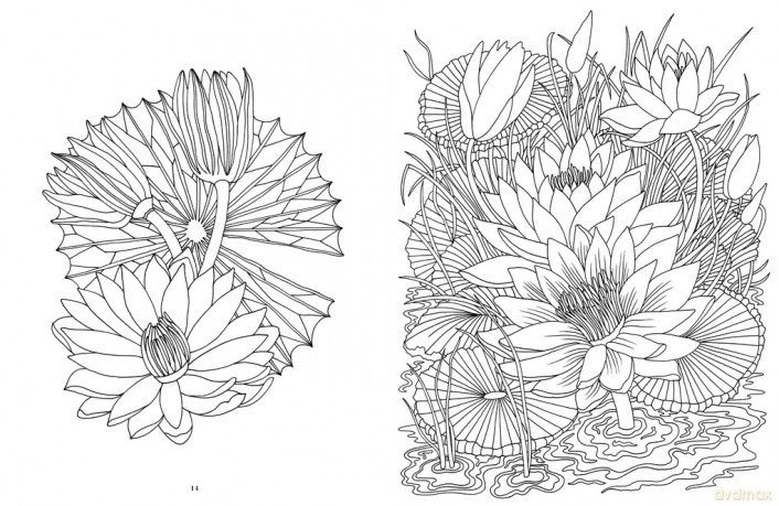 Kew Imaginarium: Tropical Plant Paradise: Calming Creative Colouring - Orange Hippo! [KSIĄŻKA]