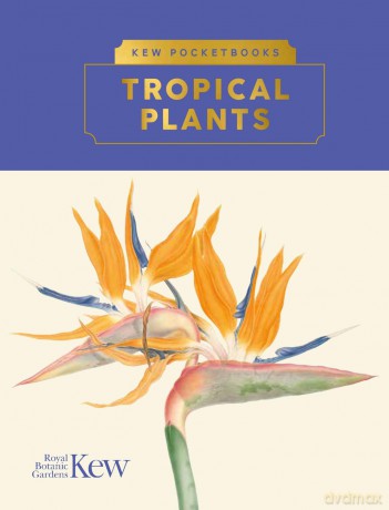 Kew Pocketbooks: Tropical Plants - Brie Langley [KSIĄŻKA]