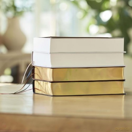 Kingdom Life Bible: Joining God's Mission to Save the World - Thomas Nelson [KSIĄŻKA]