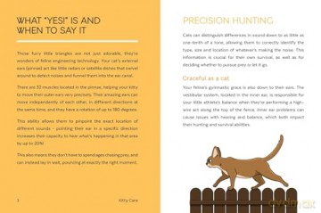 Kitty Care: A Guide to Understanding and Building a Lifelong Bond with Your Cat - Susan McCann [KSIĄŻKA]